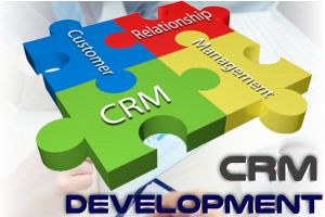 CRM Software Development 